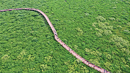 聚焦建設(shè)美麗中國 深化生態(tài)文明體制改革